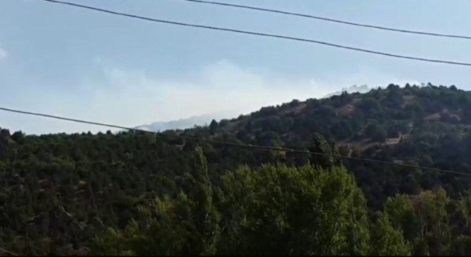  İspir'de orman yangını